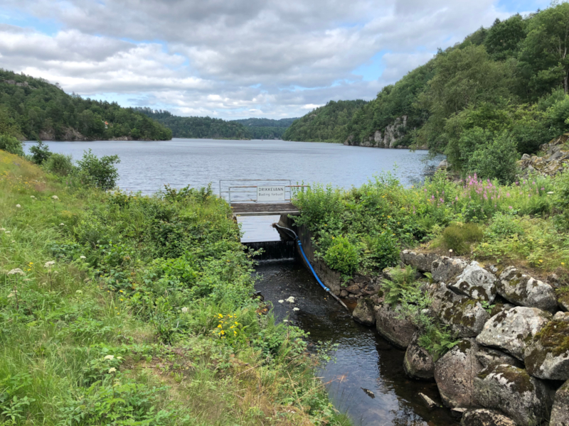 Bilde: Tjeneste dam